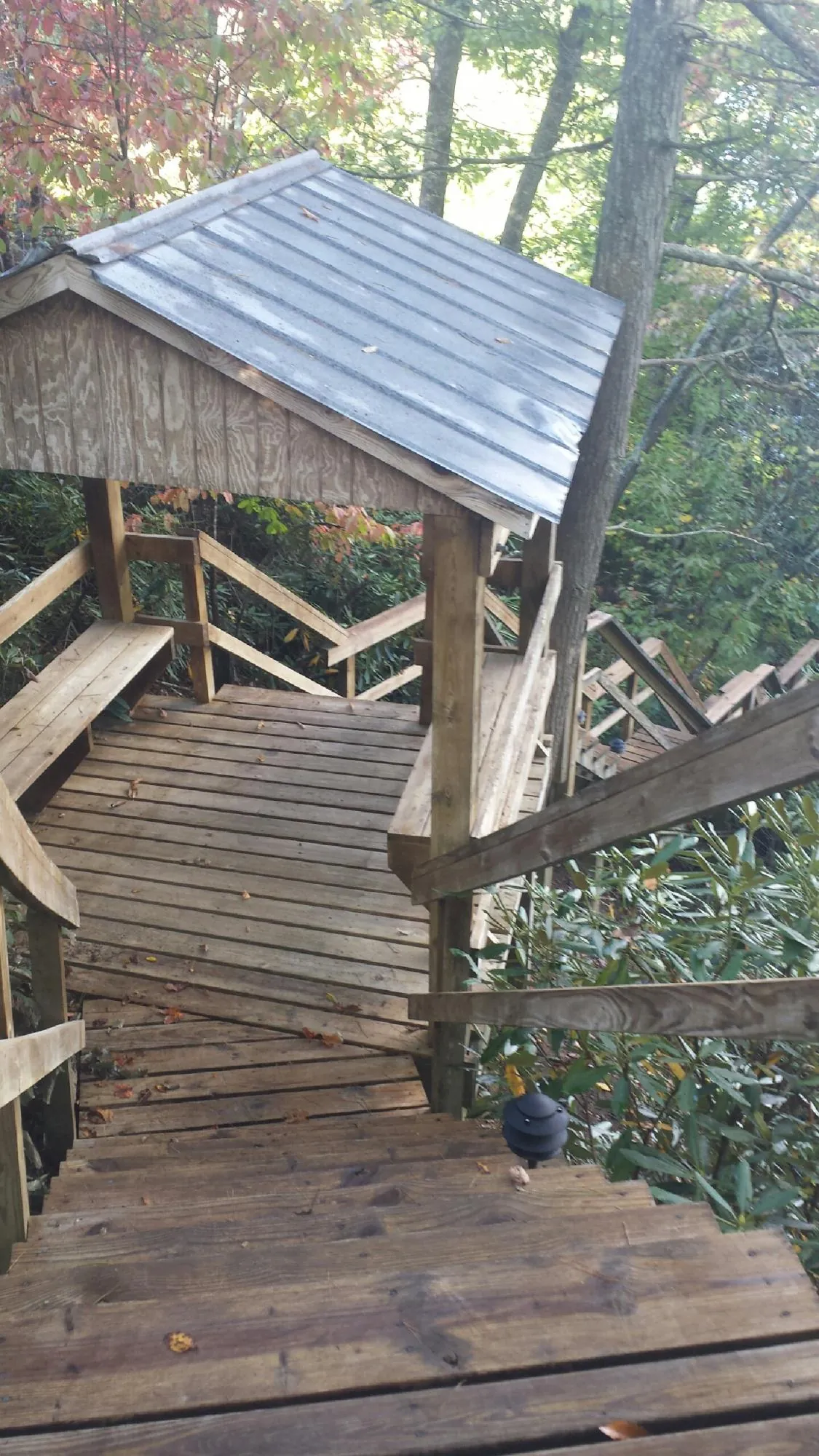 Metal roofed shelter over wooden steps on a wooded walkway — Skylight Repair & Installation work by our crew in Forest City